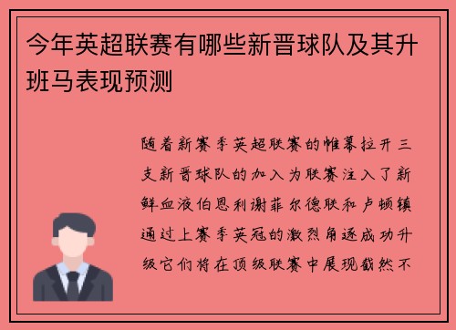 今年英超联赛有哪些新晋球队及其升班马表现预测